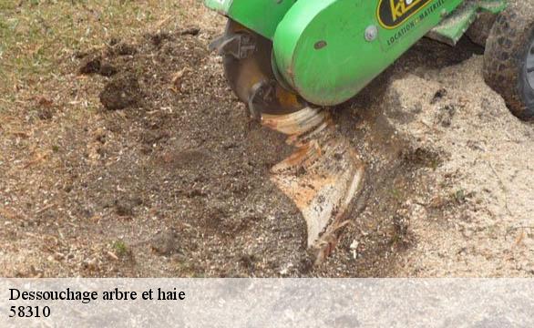 Dessouchage arbre et haie  58310