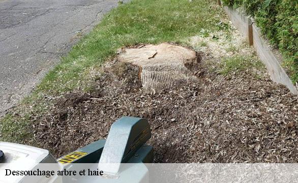 Dessouchage arbre et haie  58310