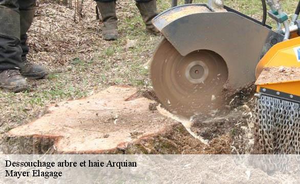 Dessouchage arbre et haie  arquian-58310 Mayer Elagage