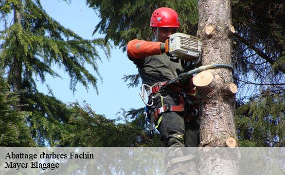 Abattage d'arbres  fachin-58430 Mayer Elagage